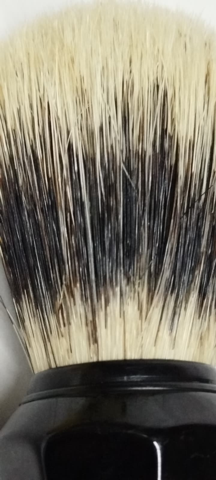 İTALYAN OMEGA ÖZEL KUTULU VE STANDLI SAF ORJINAL DOMUZ KILI TIRAŞ FIRÇASI