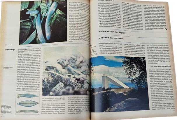 1990 SABAH GAZETESİ GELİŞİM HACHETTE 12 CİLT TAM TAKIM ALFABETİK GENEL KÜLTÜR ANSİKLOPEDİ SETİ