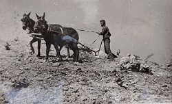 1977 KONYA TAŞKENTLİLER YARDIMLAŞMA DERNEĞİ GELENEKSEL GECESİ HATIRA FOTOĞRAF ALBÜMÜ YEREL TARİH BELGESİ