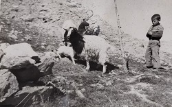 1977 KONYA TAŞKENTLİLER YARDIMLAŞMA DERNEĞİ GELENEKSEL GECESİ HATIRA FOTOĞRAF ALBÜMÜ YEREL TARİH BELGESİ