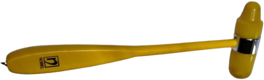 NOBEL İLAC ETOL FORT TANITIM AMACLI ANTİKA NOROLOJİK MUAYENE VE REFLEKS KONTROL CEKİCİ