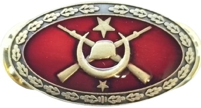 TÜRK KARA KUVVETLERİ PİYADE TEGMEN TEK YILDIZ SINIFI MİNE İŞLEMELİ UFAK BOY YAKA KOKARDI YAKA ROZETİ